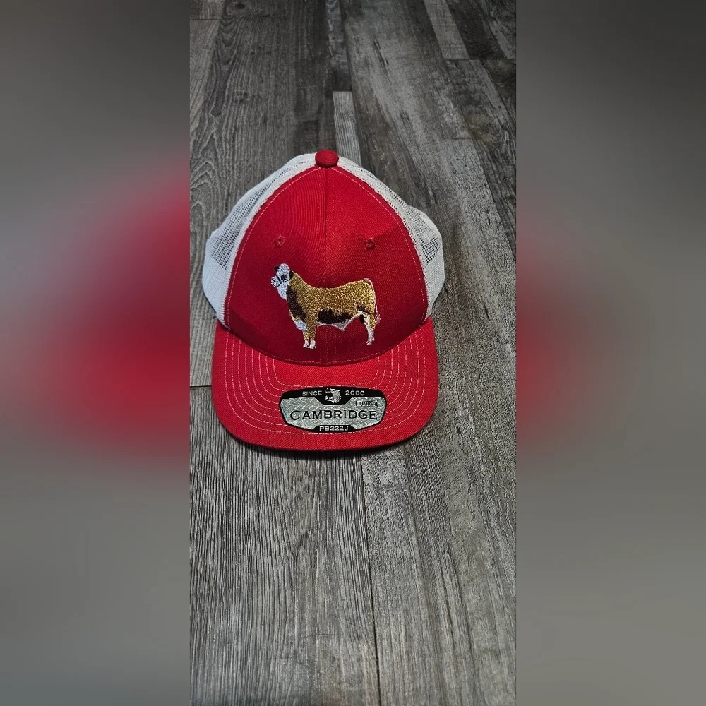 💙🩵Boys Mesh Hats Red And Blue, Bull And Rooster Embroidery🩵💙‎